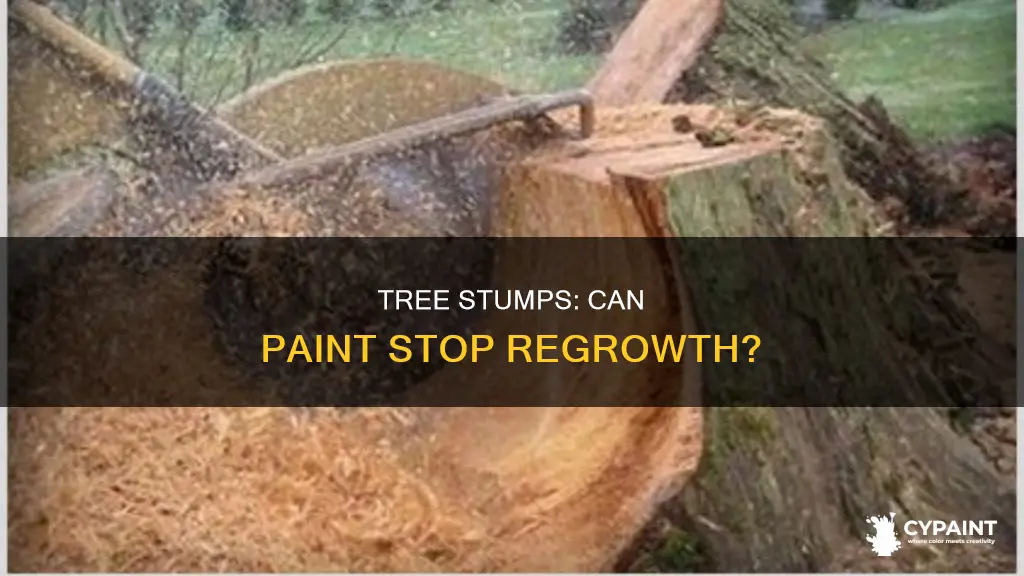 does painting a tree stump stop it from growing