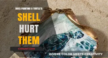 Painting Turtle Shells: Understanding the Potential Harm and Ethical Concerns
