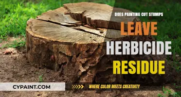 Painting Cut Stumps: Herbicide Residue Risks and Safe Alternatives