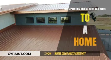 Painting Metal Roofs: A Home Value Boost?