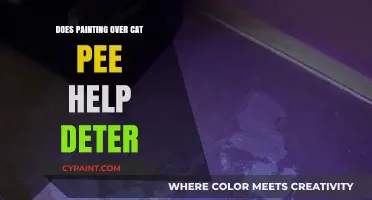 Painting Over Cat Pee: Does It Deter or Mask the Scent?