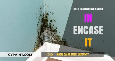 Painting Over Mold: Effective Encasement or Temporary Cover-Up?