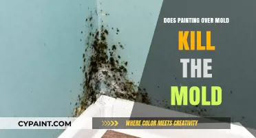 Painting Over Mold: Effective Solution or Temporary Fix?