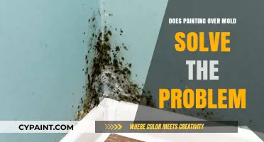 Painting Over Mold: A Temporary Fix or Lasting Solution?