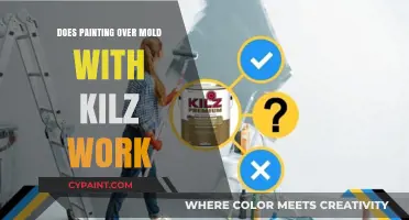 Painting Over Mold with Kilz: Effective Solution or Temporary Fix?