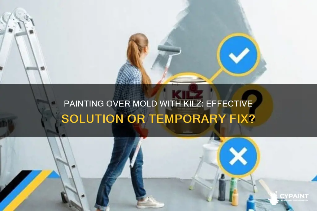 does painting over mold with kilz work