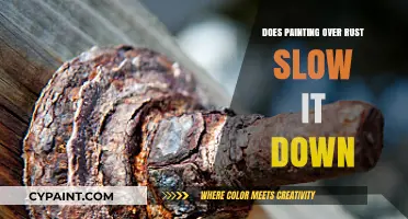 Painting Over Rust: Effective Slowing Technique or Temporary Fix?