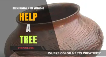 Painting Over Wetwood: Effective Tree Care or Harmful Myth?