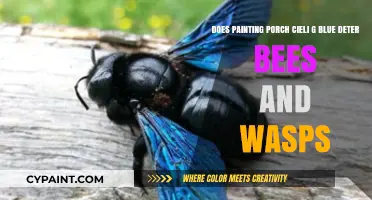 Painting Porch Ceiling Blue: Effective Bee and Wasp Deterrent or Myth?