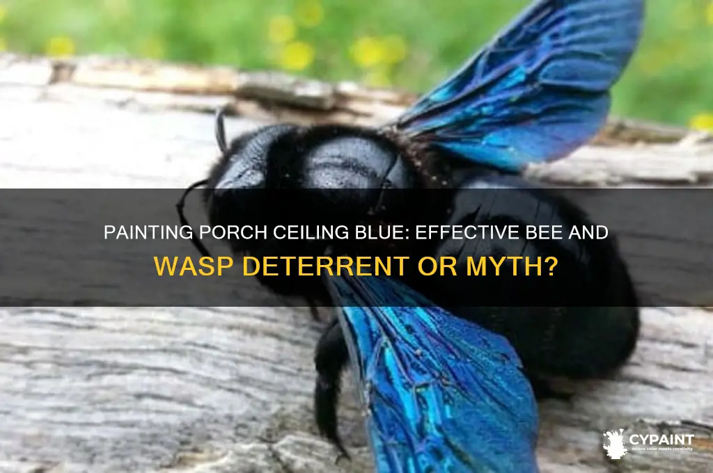 does painting porch cieli g blue deter bees and wasps