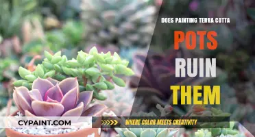 Painting Terra Cotta Pots: Enhancing or Ruining Their Natural Appeal?