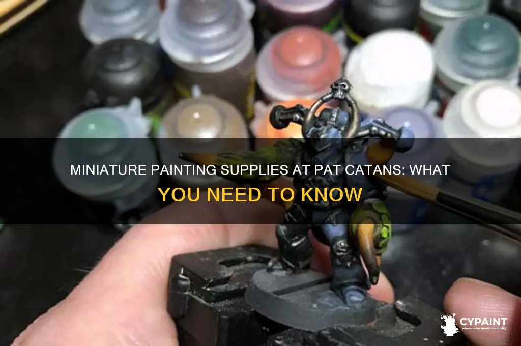 does pat catans have miniature painting supplies