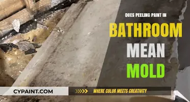 Peeling Paint in Bathroom: A Sign of Hidden Mold Growth?
