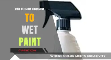 How Pet Odor Impacts Fresh Paint
