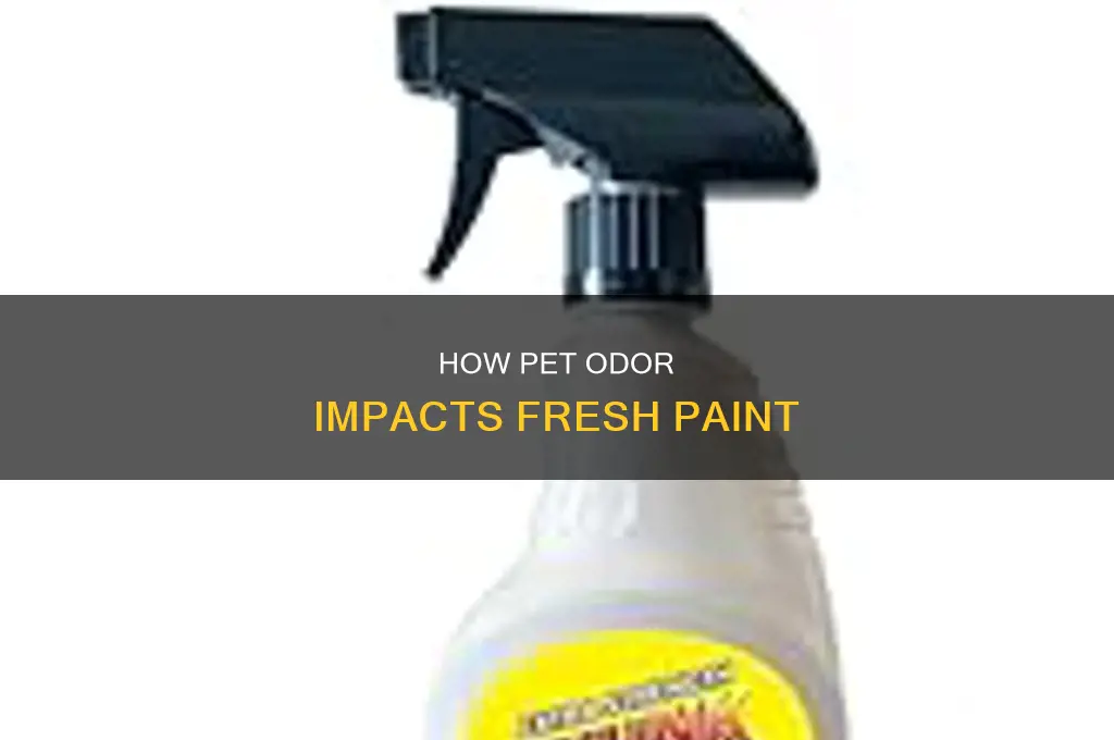 does pet stain odor stick to wet paint