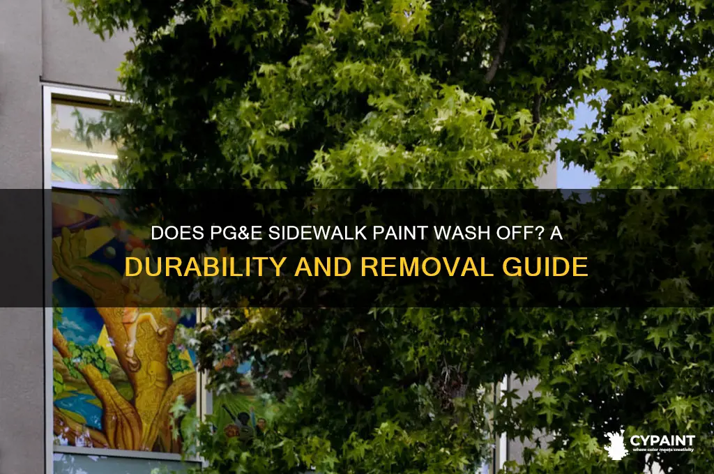 does pg&e sidewalk paint wash off