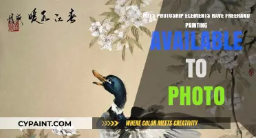 Freehand Painting in Photoshop Elements: Is It Possible?