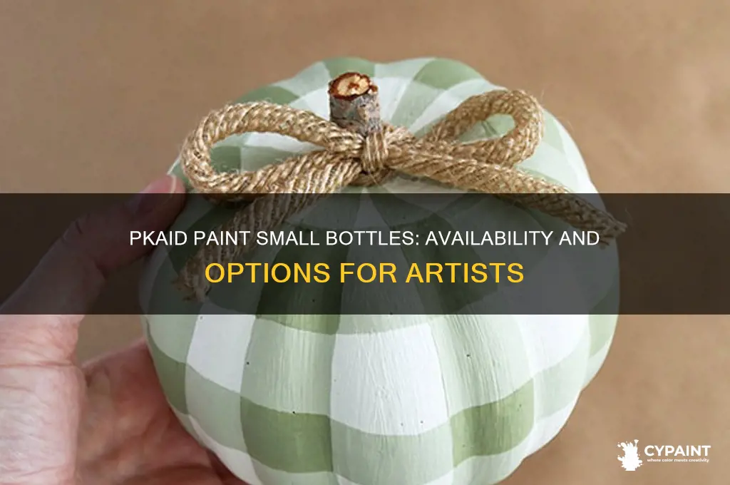 does pkaid paint come in small bottles