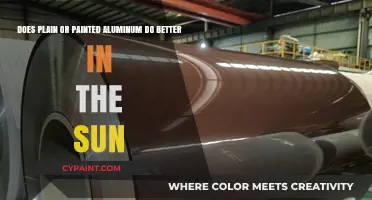 Plain vs. Painted Aluminum: Sun Exposure Performance Compared