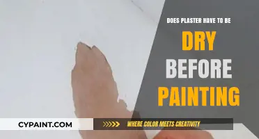 Preparing Plaster for Paint: Dry or Not?