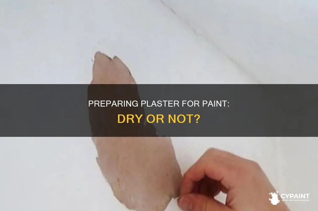 does plaster have to be dry before painting