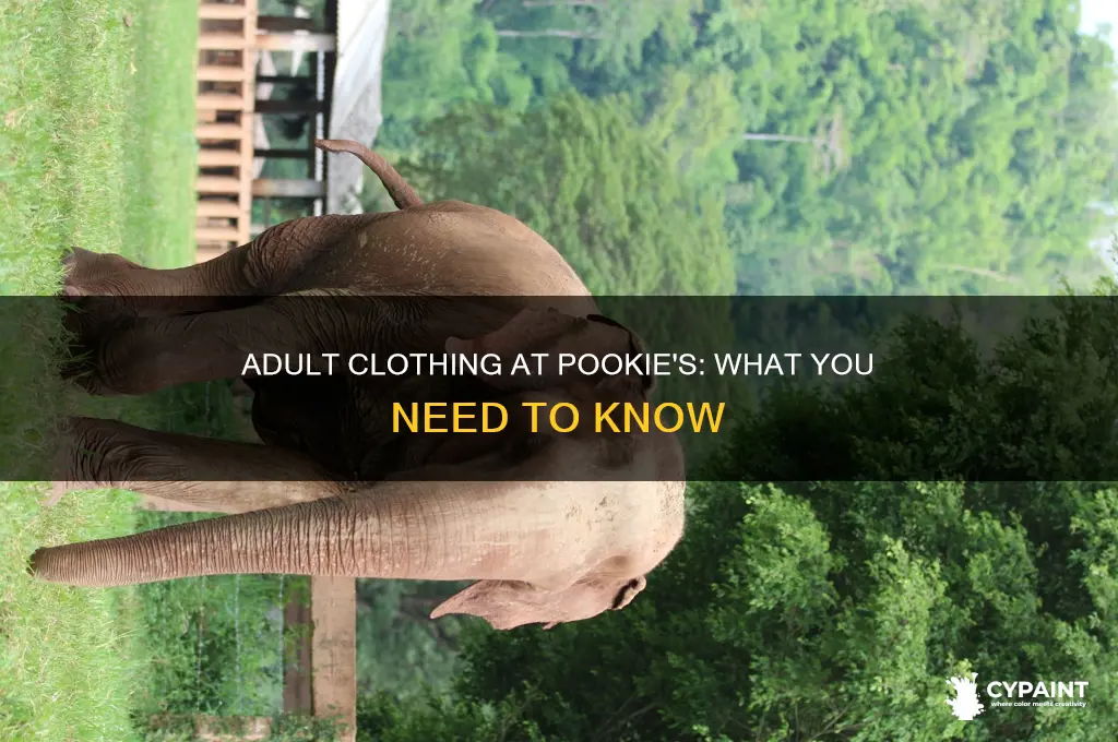 does pookies in painted post take adult clothing