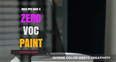 PPG's Eco-Friendly Paint: Zero VOC Options Explained