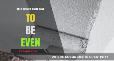 Does Primer Paint Need to Be Even? Expert Tips and Insights