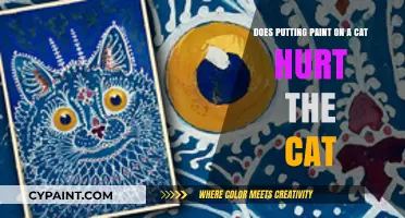 Cat Paint Hazards: Toxicity and Health Risks