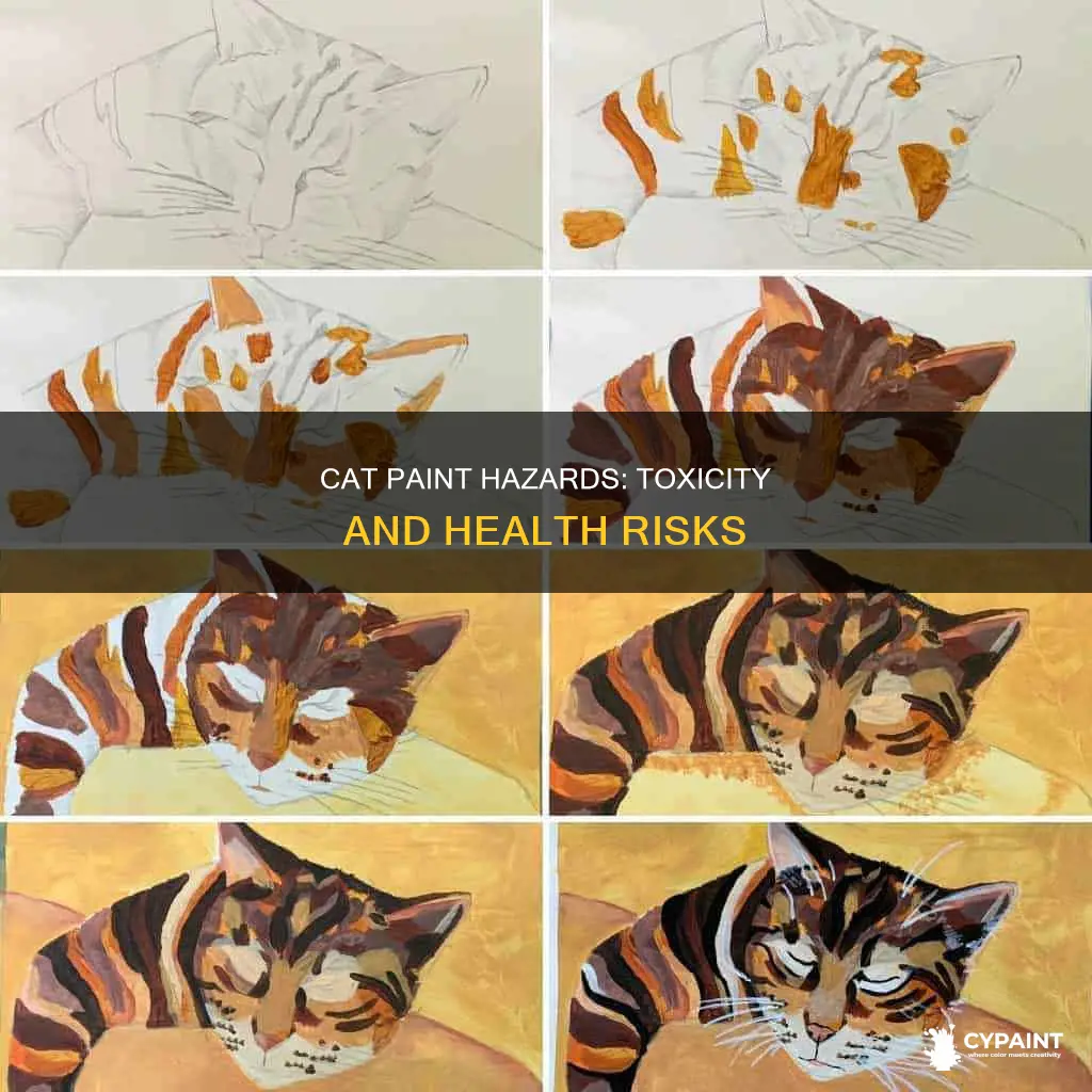 does putting paint on a cat hurt the cat