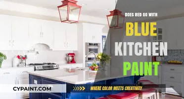 Red and Blue Kitchen Harmony: A Bold Color Combo Guide