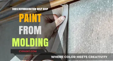 Prevent Paint Mold: Does Refrigeration Keep Your Paint Fresh?