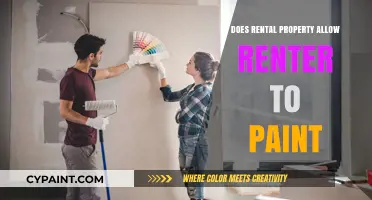 Can Renters Paint Their Rental Property? Rules and Tips to Know