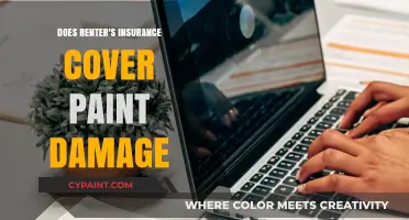 Does Renter's Insurance Cover Paint Damage? What You Need to Know