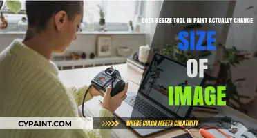 Does Paint's Resize Tool Truly Alter Image Dimensions?