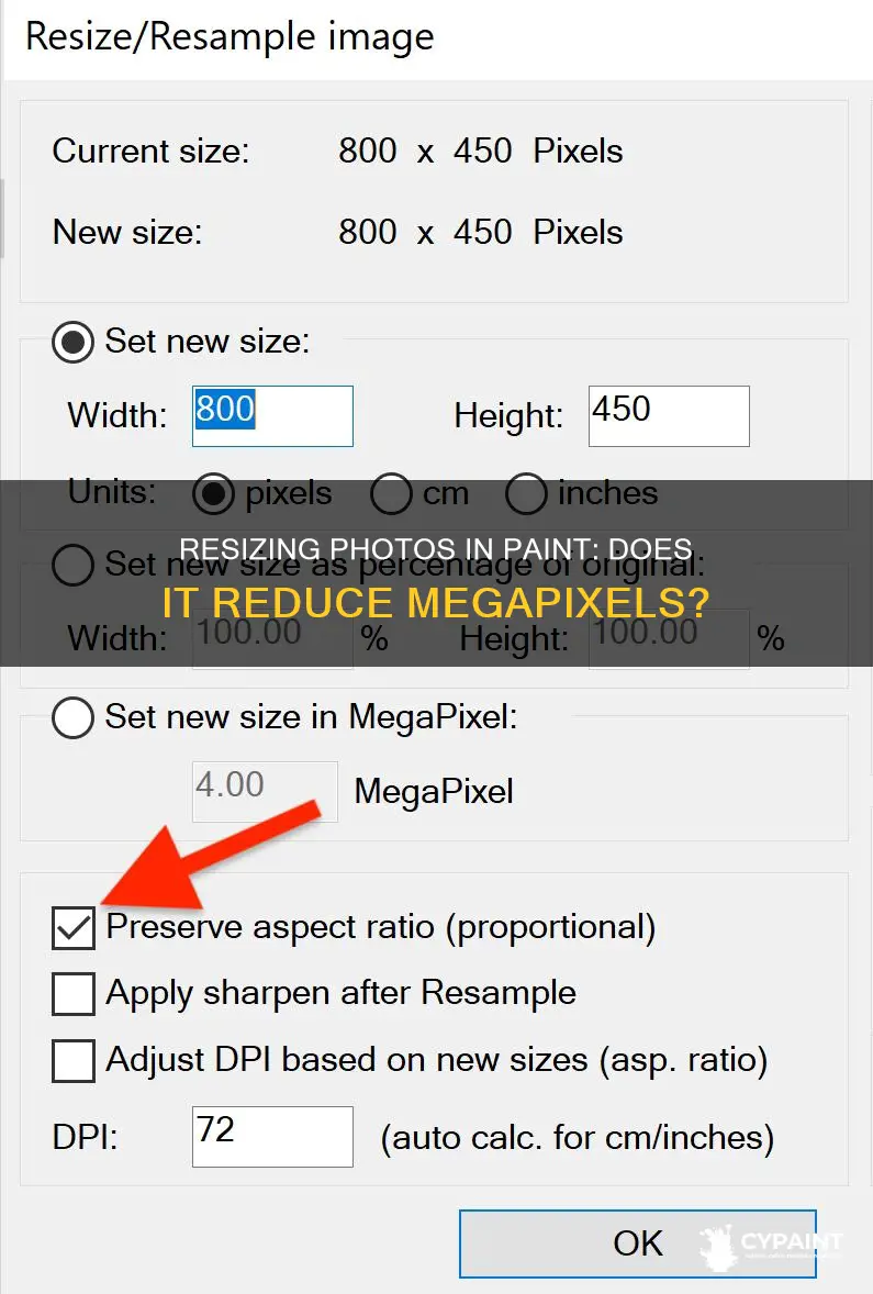 does resizing a photo in paint reduce the megapixels