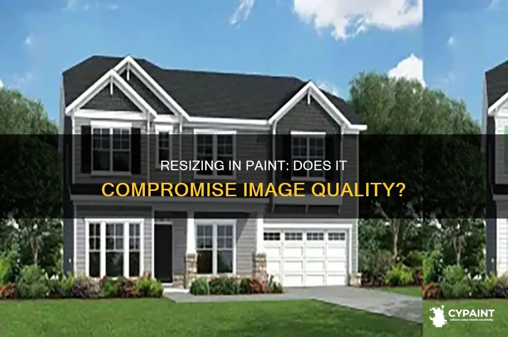 does resizing in paint reduce the quality
