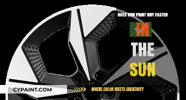 Rim Paint Drying: Sunlight vs Shade