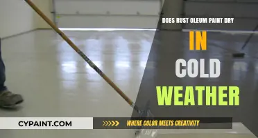 Rust-Oleum Paint: Cold Weather Drying?