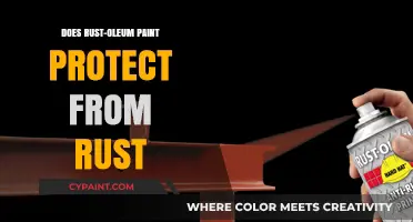 Rust-Oleum Paint: Effective Rust Protection or Just a Coating?