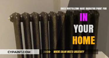 Rustoleum Radiator Paint: A Home Improvement Essential?