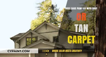 Sage Paint: The Best Carpet Color Match