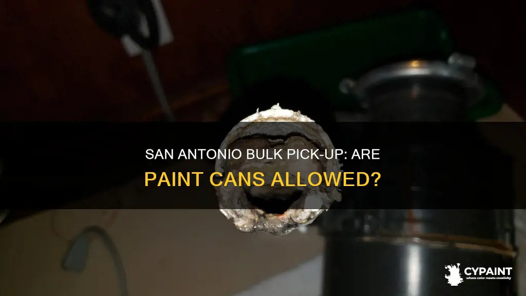does san antonio bulk pick up allow paint cans