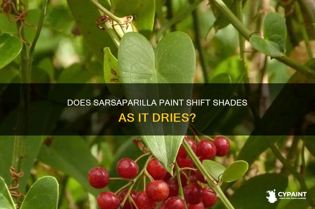 does sarspar paint change shades on drying