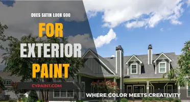 Satin Exterior Paint: A Durable and Stylish Finish for Homes?