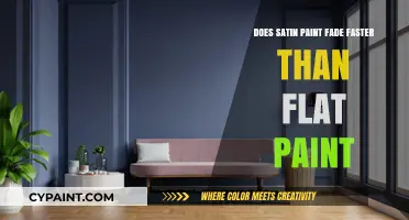 Satin vs Flat Paint: Which Fades Faster?