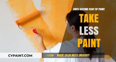 How Much Paint Do You Need for a Second Coat?