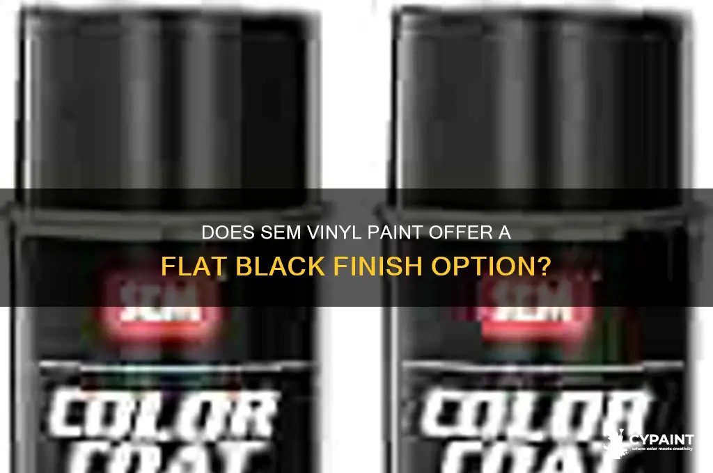 does sem vinyl paint come in flatblack