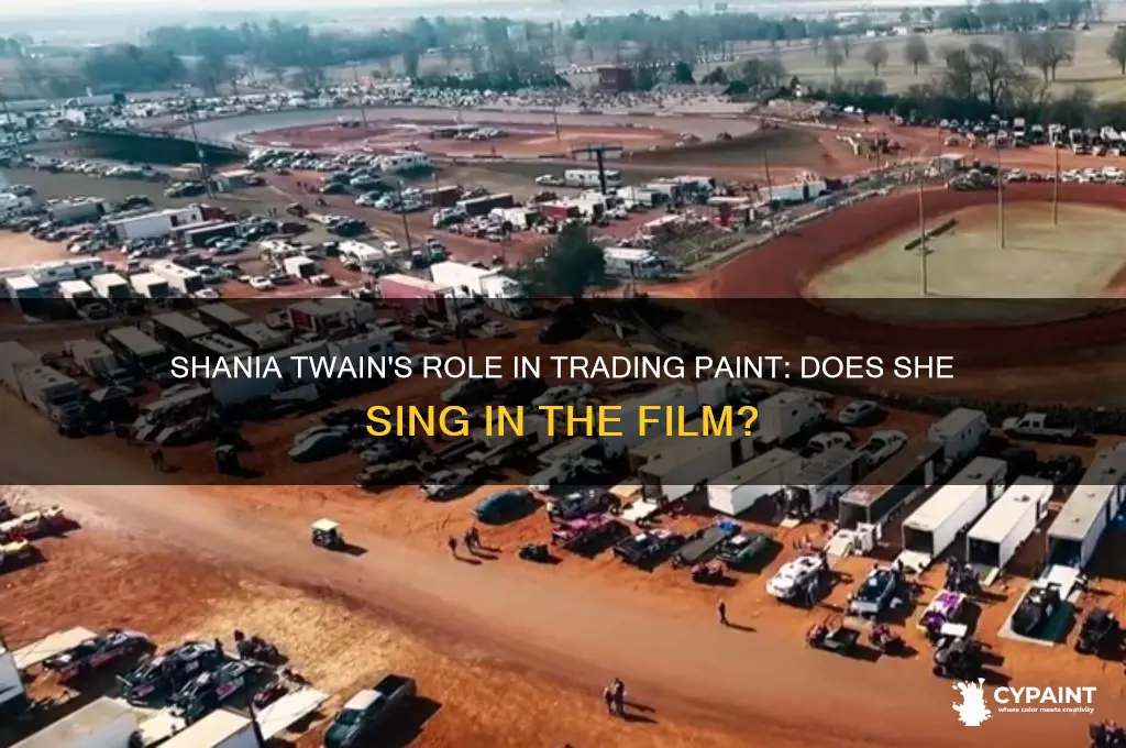 does shaina twain sing in trading paint