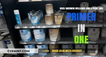 Sherwin Williams Paint and Primer in One: Is It Worth It?